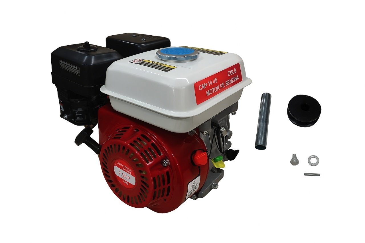 Motor Benzina Campion 7.5CP 196cc Ruris