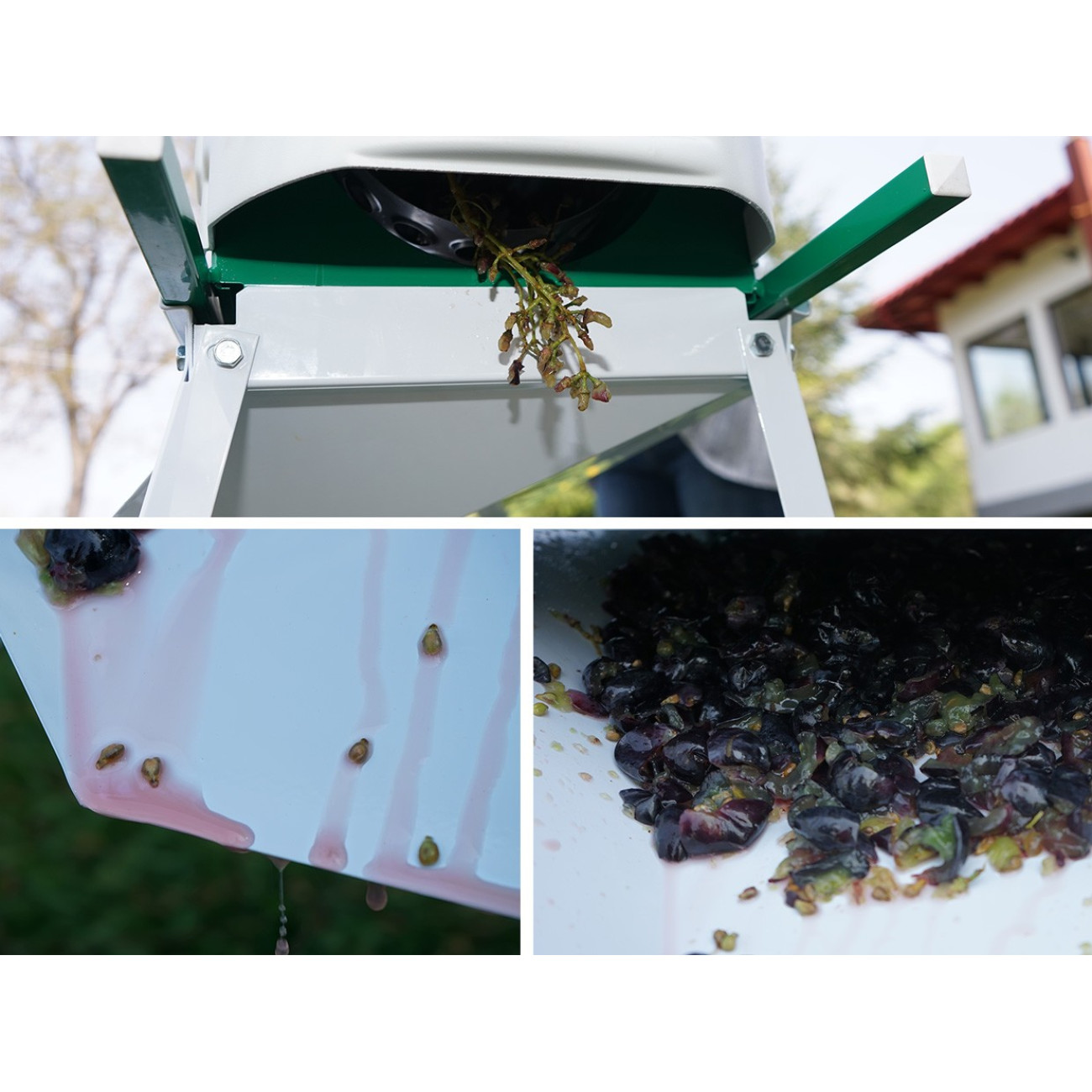 Zdrobitor Struguri Grifo DMA Italia Manual - imagine 6