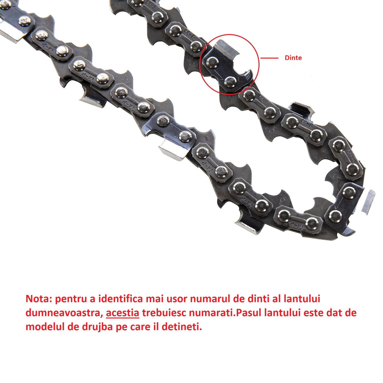 Lanț Drujba Brillo 28 Dinti Pas 3.25 - imagine 3
