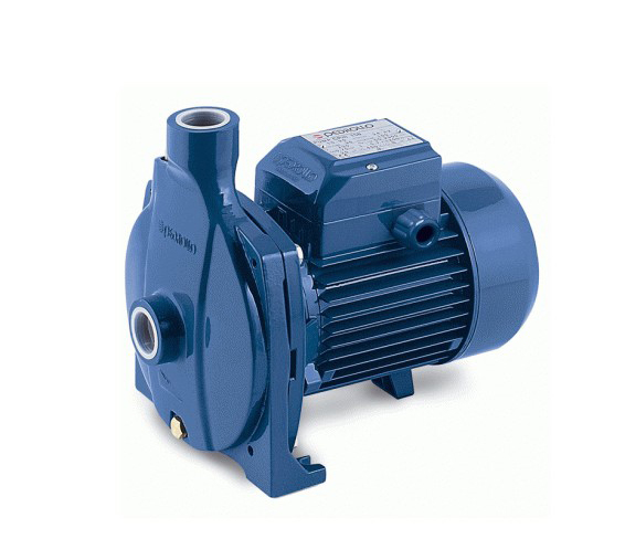 Pompă Pedrollo CP 160B - Pompe Apă Profesionale