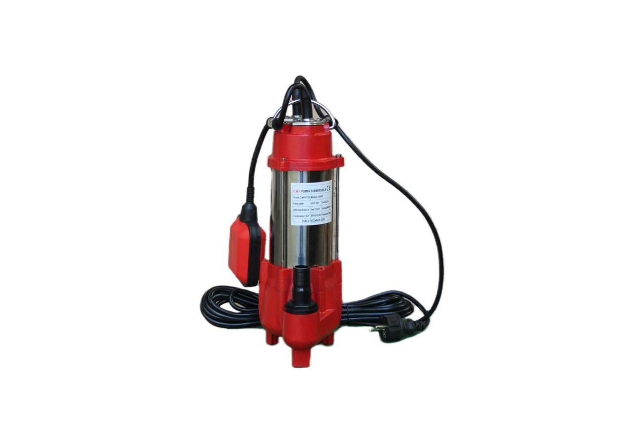 Pompa Apă Murdară Submersibilă Campion 2500W cu Tocător - imagine 3