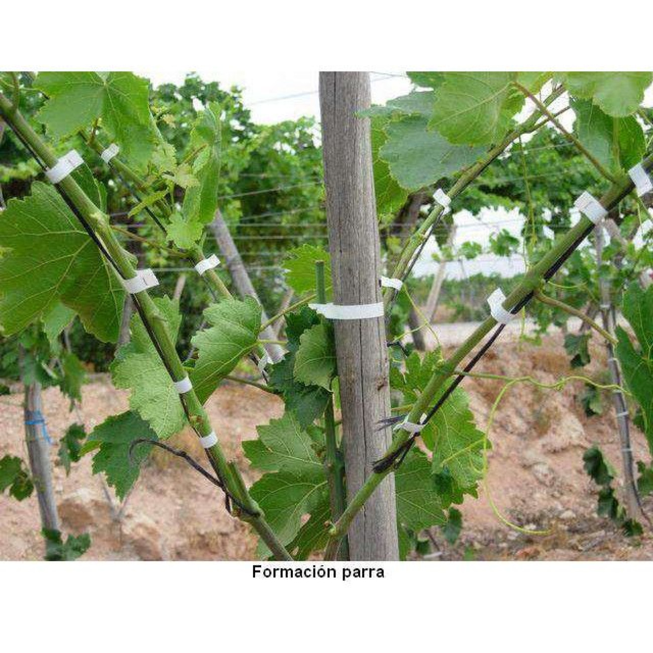 Cablu TC 20 Trotec pentru T3000 - Conectare Sigură - imagine 7