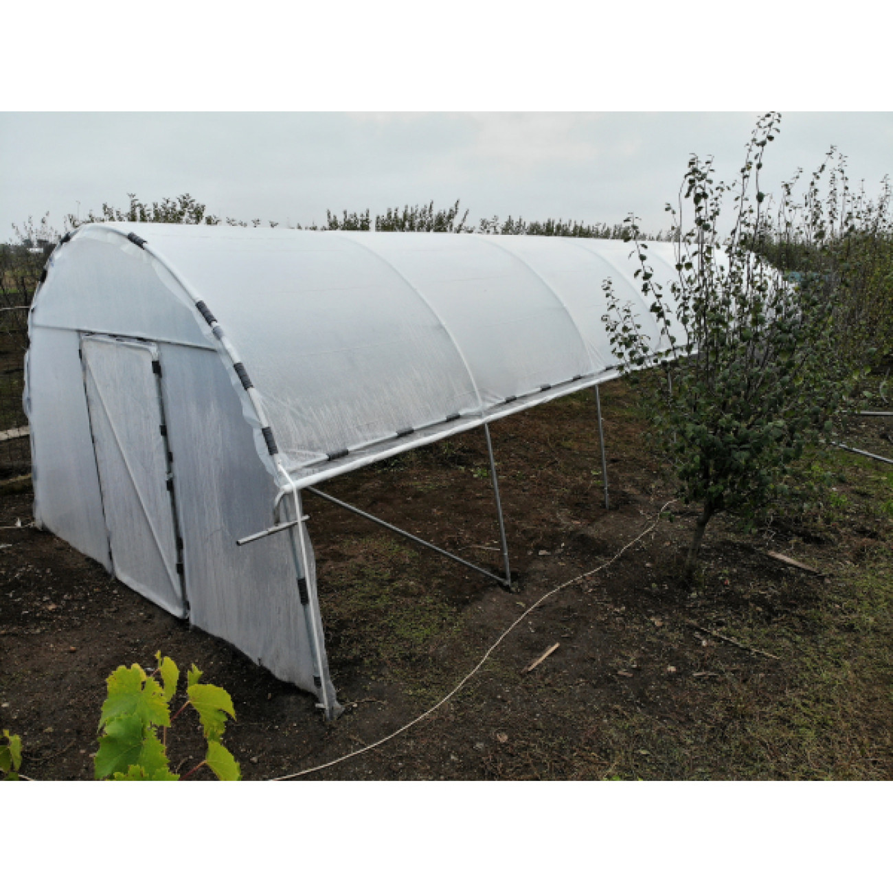 Solar Gradina 10x5m Profesional, Otel Galvanizat - imagine 6