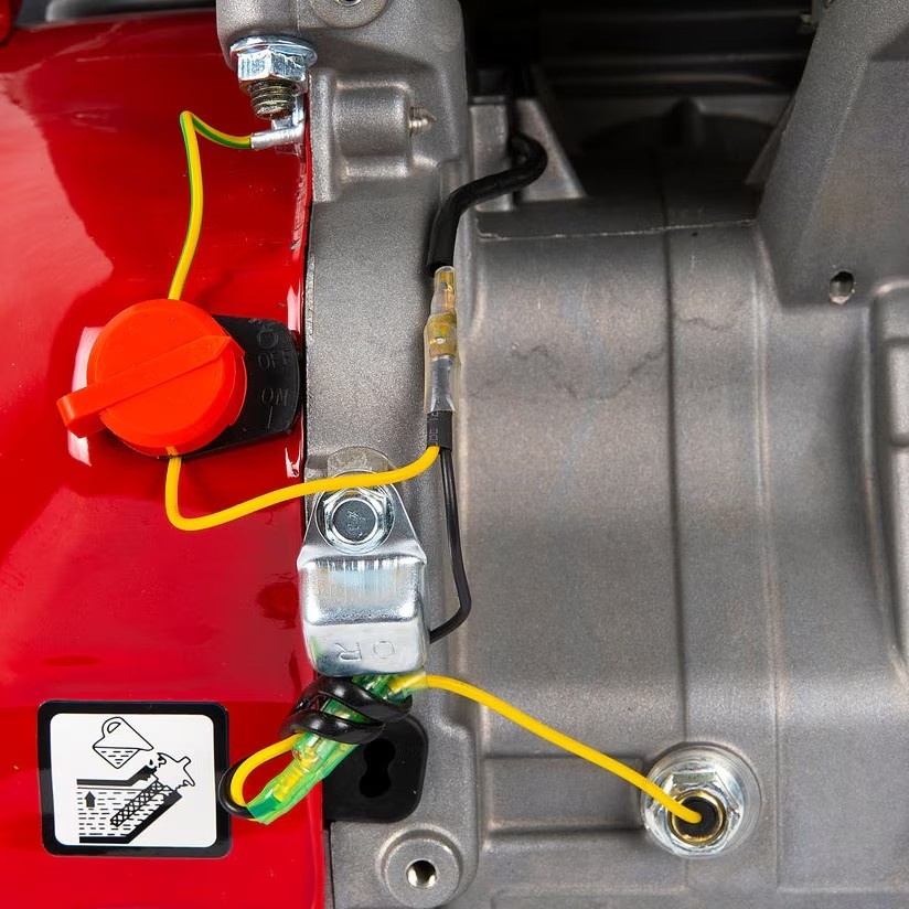 Campion CMP0723 Motor Benzina 10CP - Performant - imagine 2