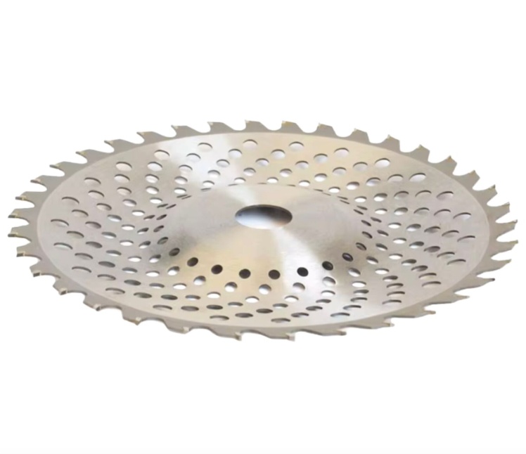 Disc Vidia 230mm Campion CMP1682, Concav, pentru Motocoasa