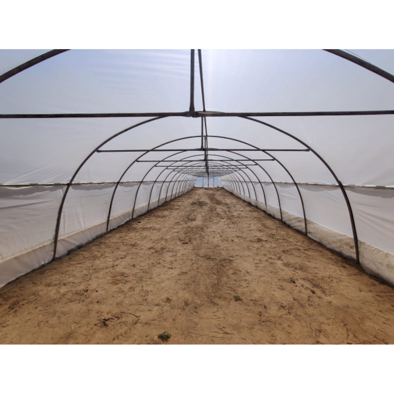 Solar Gradina 10x5m Profesional, Otel Galvanizat - imagine 8