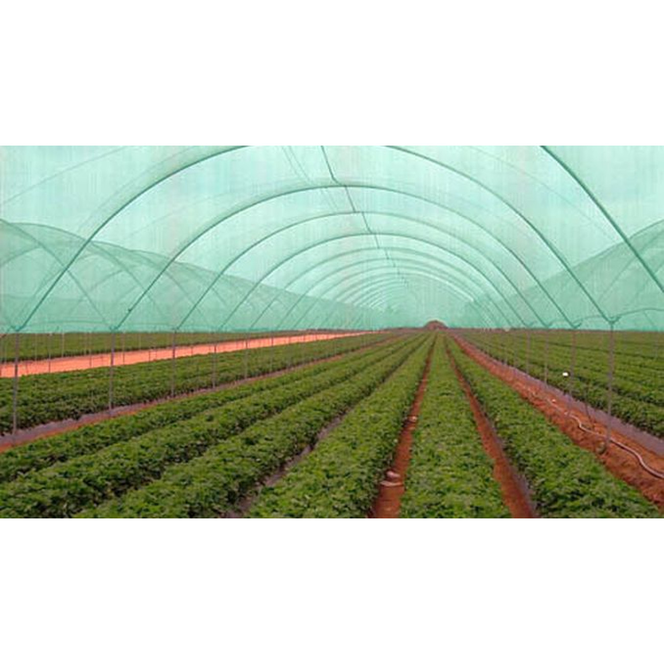 Difuzor Aroma Clean Air Optima AD-302 - imagine 7