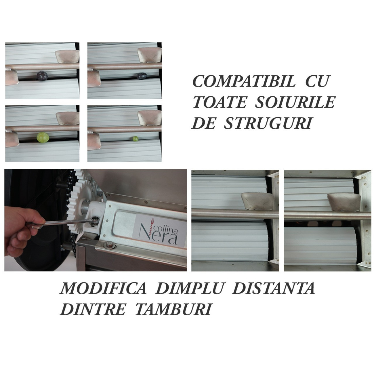 Zdrobitor Struguri Grifo DMA Italia Manual - imagine 7