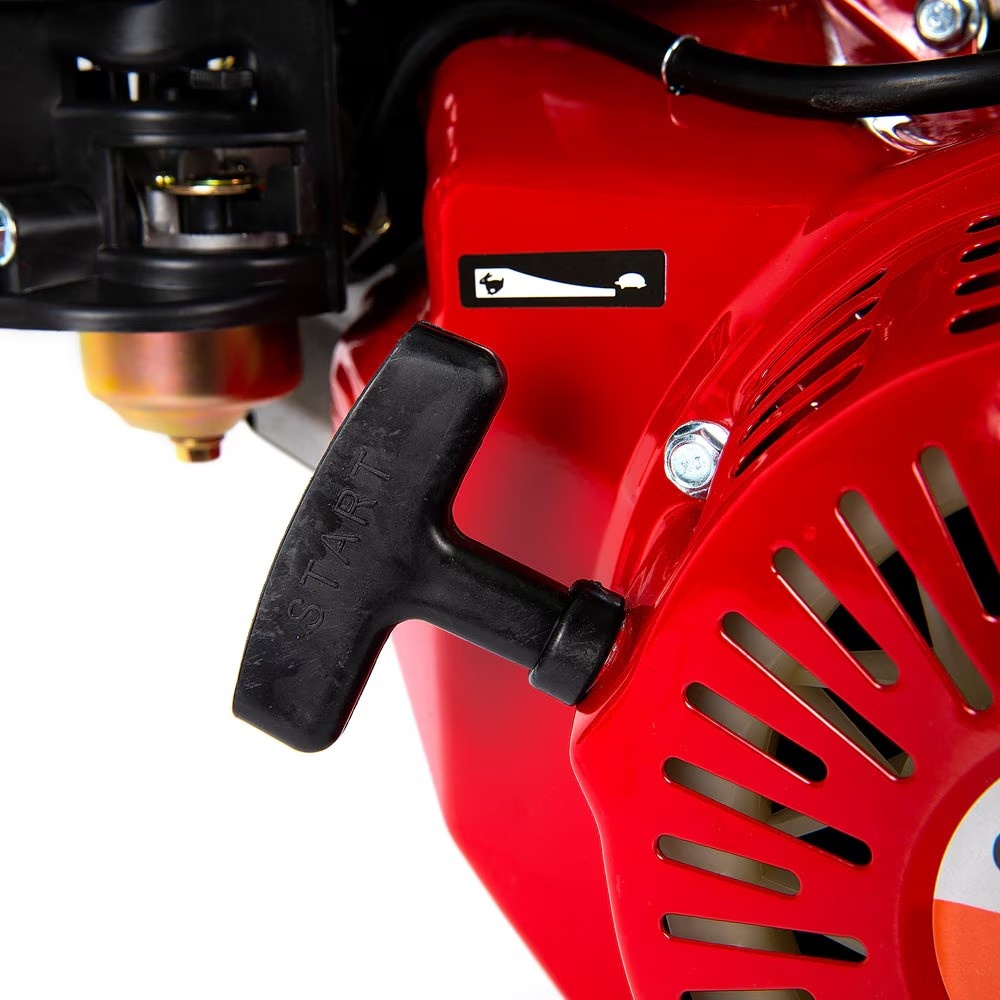 Campion CMP0723 Motor Benzina 10CP - Performant - imagine 5