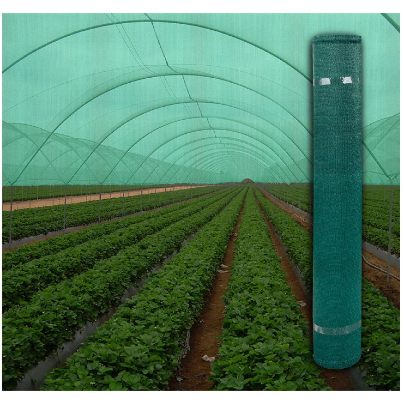 Plasa Umbrire 90% Micul Fermier 1.5x50m - imagine 5