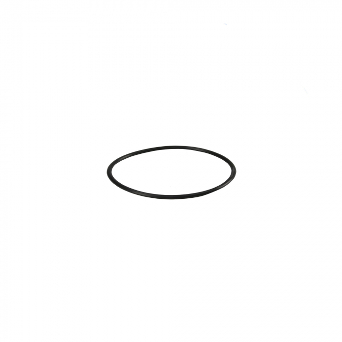 Garnitură O-ring Aquafilter carcasa membrană YT-25W 620x40