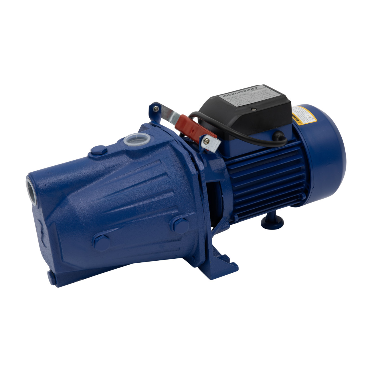 Pompa Hidrofor Micul Fermier JET 100L - imagine 2